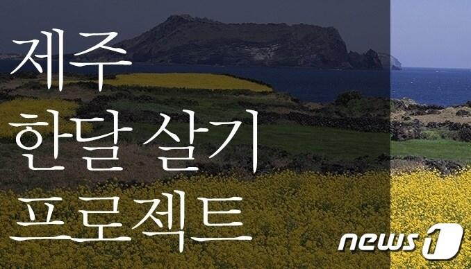 본문 이미지 - 뉴스1DB ⓒ News1