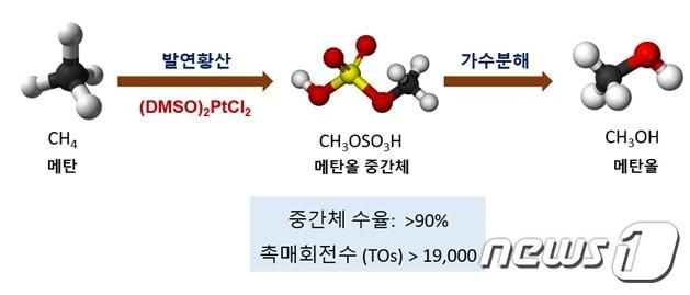 본문 이미지 - 백금계 유기금속 촉매를 이용한 메탄 산화 반응(한국연구재단 제공)ⓒ News1