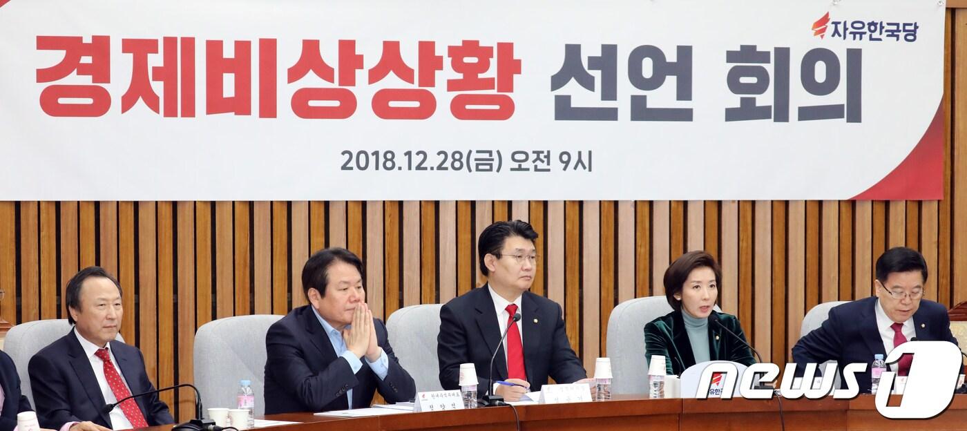 본문 이미지 - 나경원 자유한국당 원내대표가 지난해 12월28일 서울 여의도 국회에서 열린 경제비상상황선언회의에서 모두발언을 하고 있다. /뉴스1 ⓒ News1 김명섭 기자