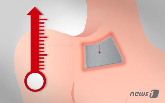 본문 이미지 - ⓒ News1 이은현 디자이너