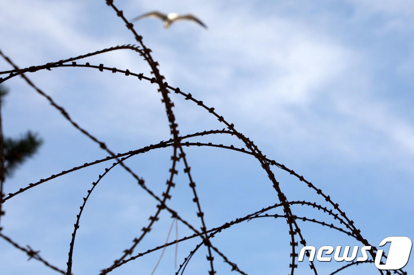 자료사진. ⓒ News1