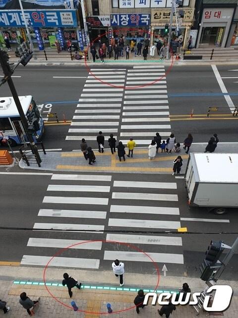 본문 이미지 - 부산 동래구 충렬대로 인정시장 횡단보도에 설치된 바닥형 신호등이 초록색으로 바뀌자 시민들이 길을 건너고 있다.(부산지방경찰청 제공)ⓒ News1