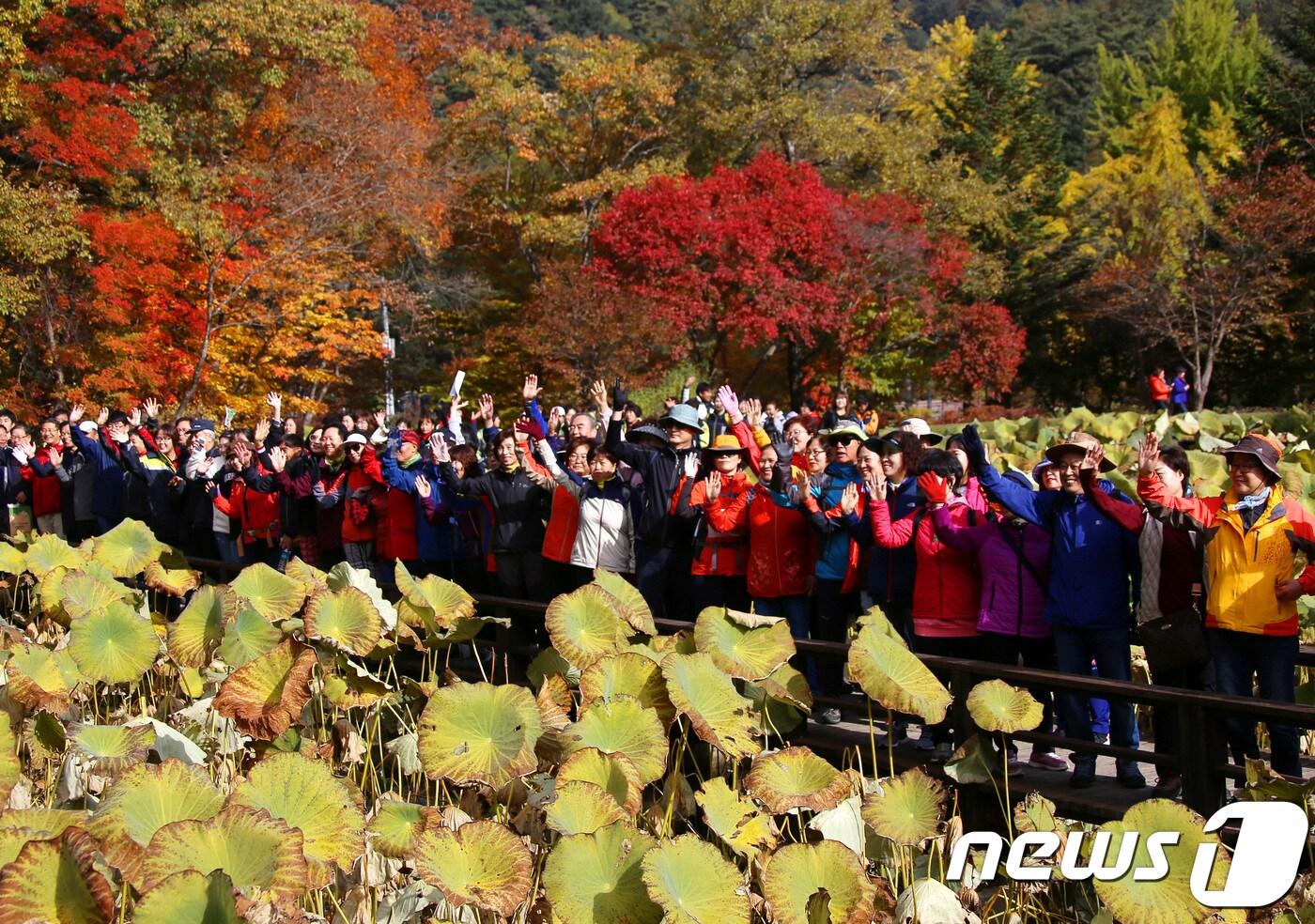 본문 이미지 - 홍천 수타사 산소길 전경. (홍천군 제공) 2018.12.9/뉴스1 ⓒ News1 하중천 기자