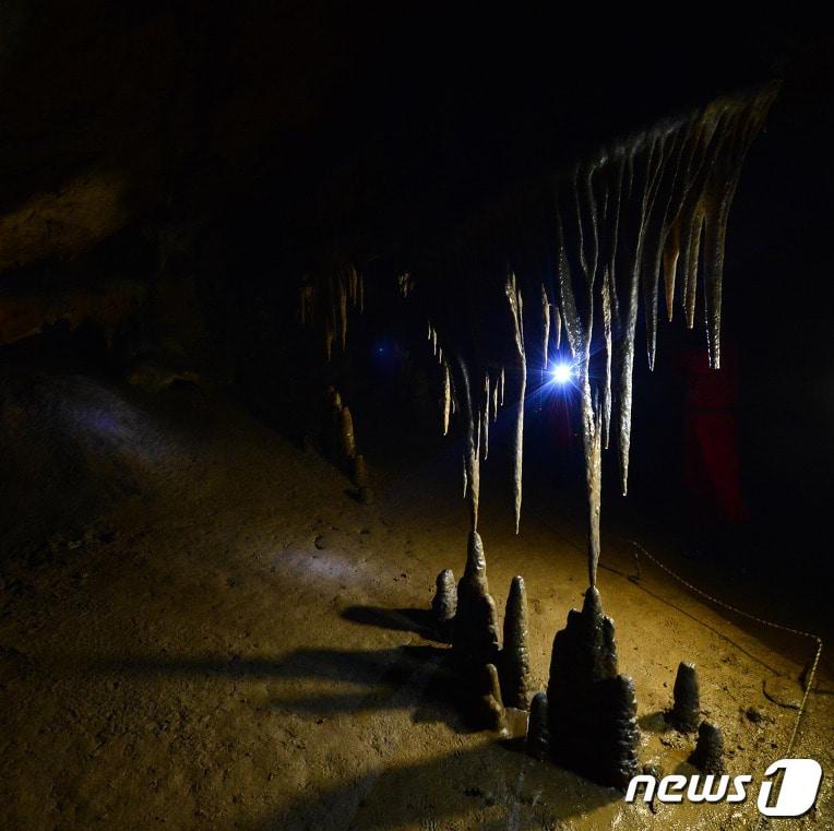 본문 이미지 - 강원 평창군 백룡동굴 자료사진. ⓒ News1 
