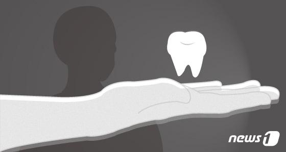 본문 이미지 - ⓒ News1 DB