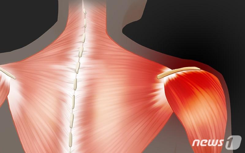 본문 이미지 - ⓒ News1 DB