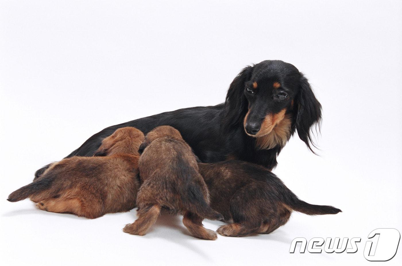 본문 이미지 - 사진 이미지투데이 ⓒ News1