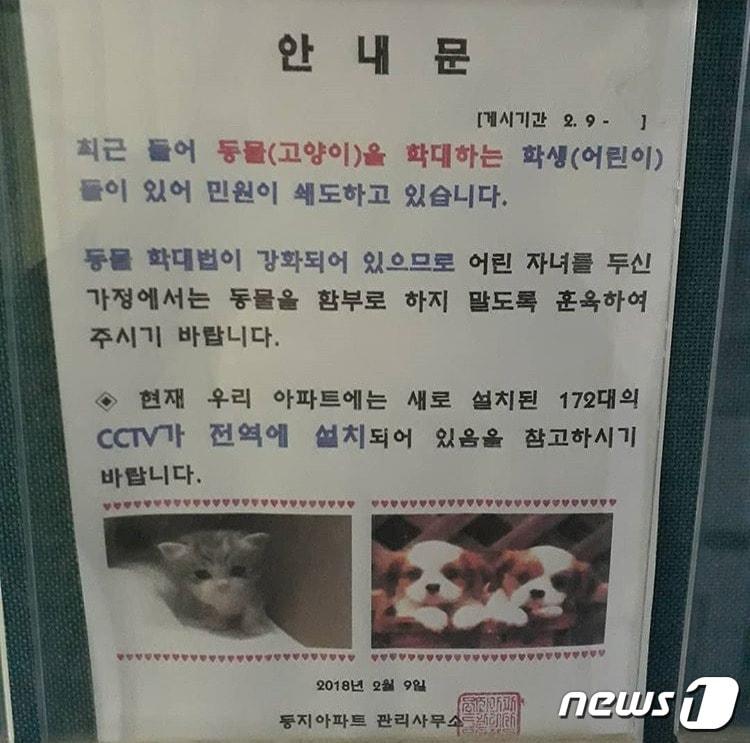 본문 이미지 - 고양이를 함부로 대하지 말라는 대전 둥지아파트 안내문.(사진 인스타그램 @rok.woo 제공)ⓒ News1