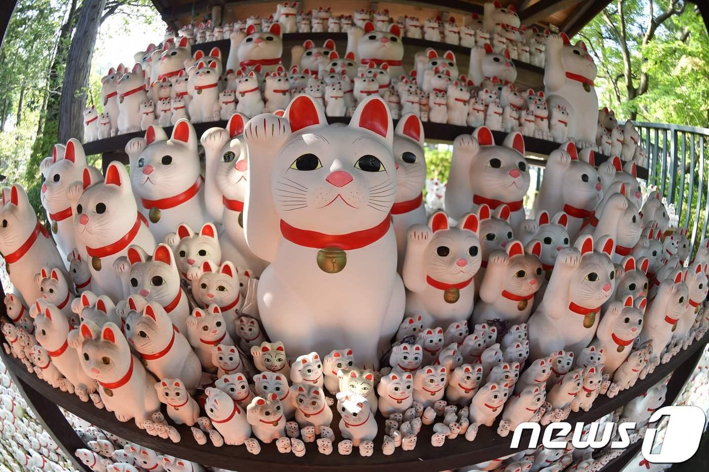 일본 고양이 인형 &#39;마니키네코&#39;. ⓒ AFP=뉴스1