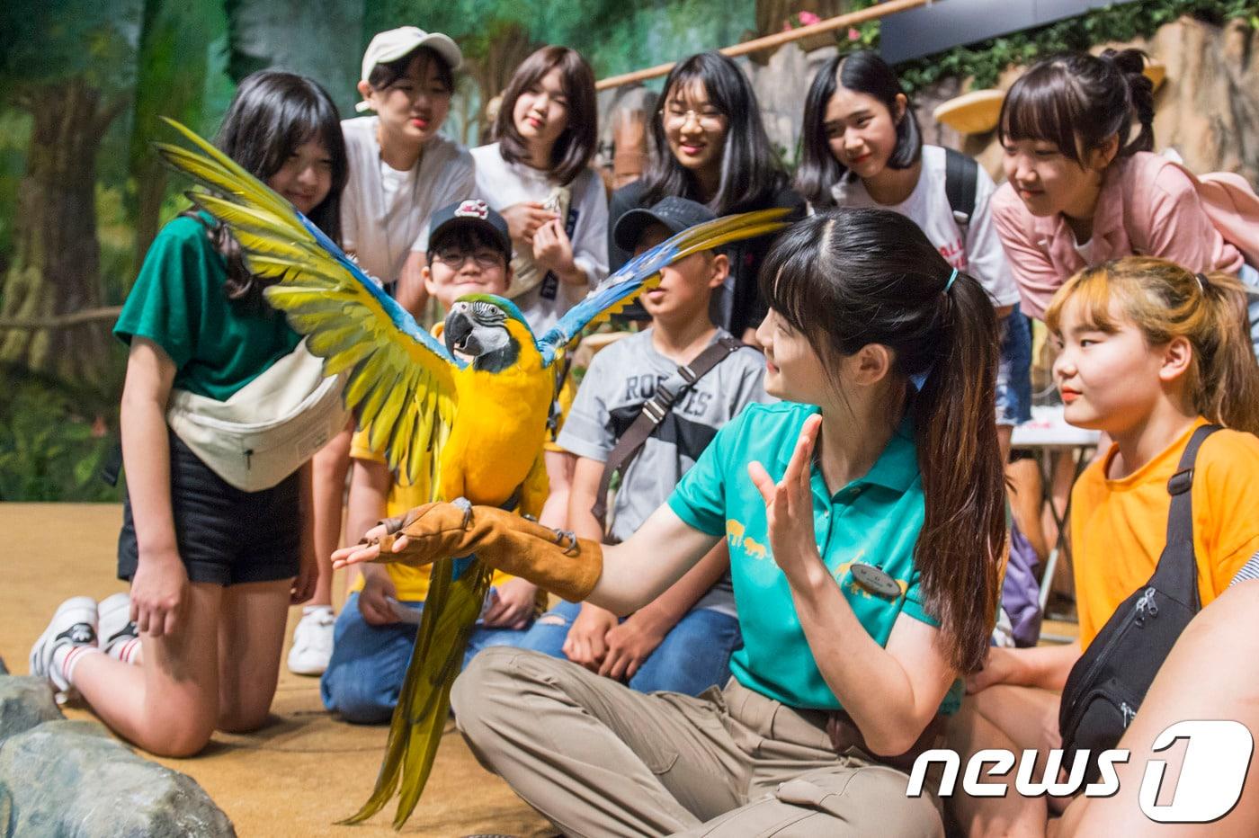 사육사를 체험해보고 있는 학생들.(에버랜드 제공)ⓒ News1