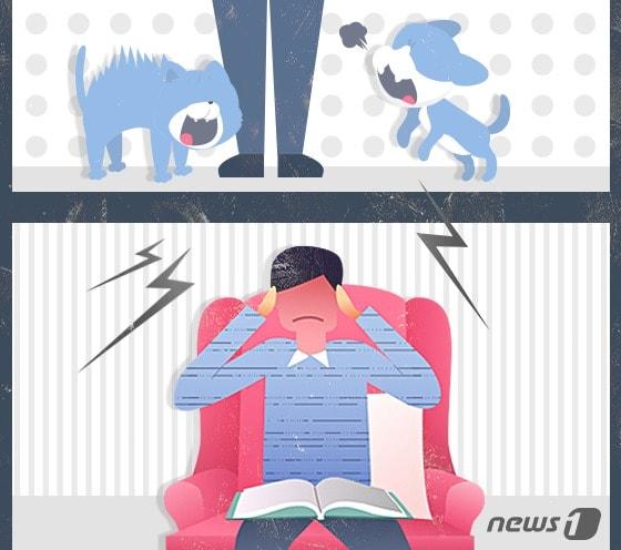 본문 이미지 - ⓒ News1 DB