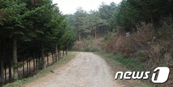 본문 이미지 - 산림청 정읍국유림관리소(소장 하헌경)는 산림경영임지 확보를 위해 올해 36억원의 예산을 들여 전북지역 9개 시군의 사유림 460㏊를 매수한다. ⓒ News1