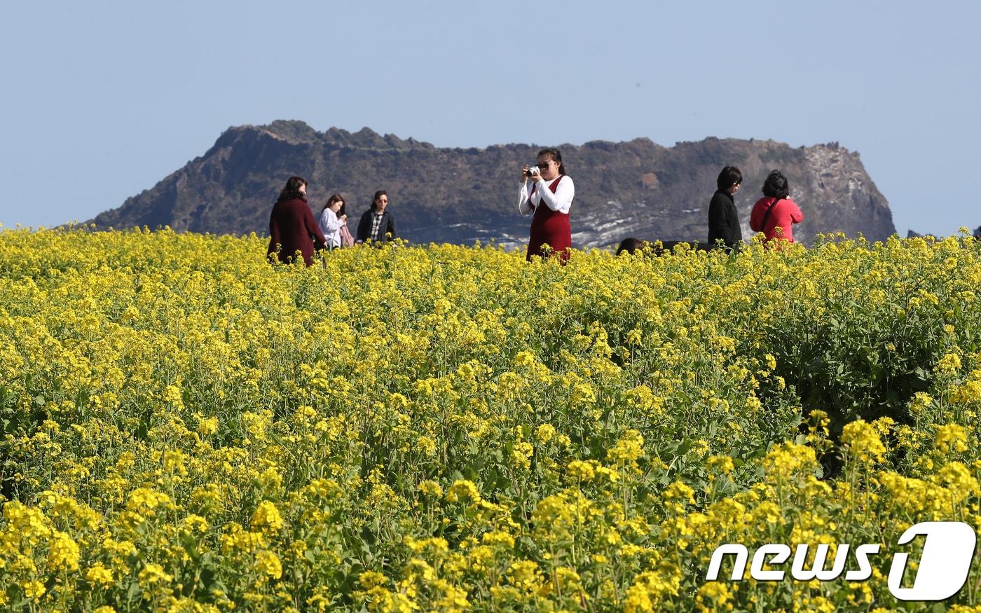 본문 이미지 -  ⓒ News1 이석형 기자
