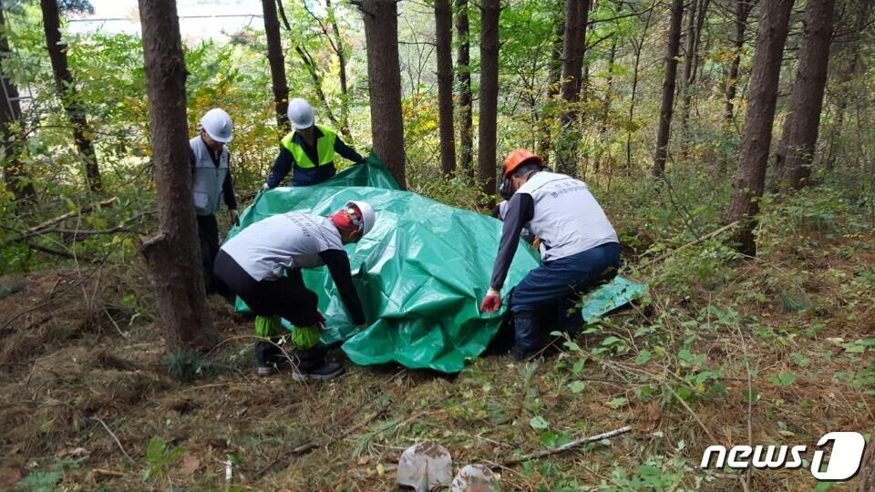 본문 이미지 - 산림병예찰방제단(북부지방산림청 제공)ⓒ News1