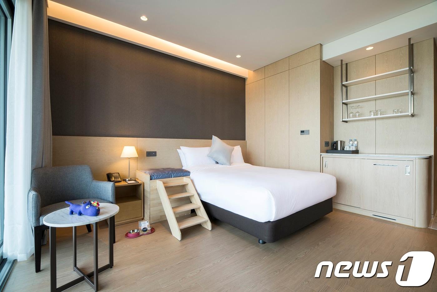 본문 이미지 - 세인트존스 호텔, 펫 프렌들리 룸. (강릉세인트존스 호텔 제공) 2018.3.15/뉴스1 ⓒ News1 서근영 기자