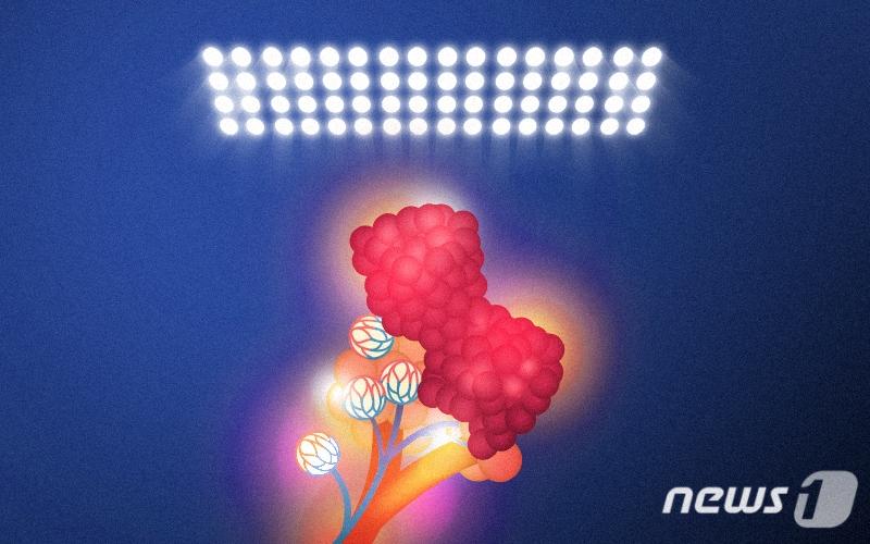 본문 이미지 - ⓒ News1 최진모 디자이너