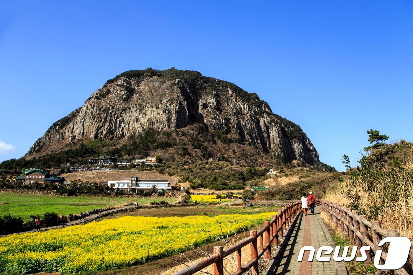 제주 산방산의 모습. 이하 관광공사 제공