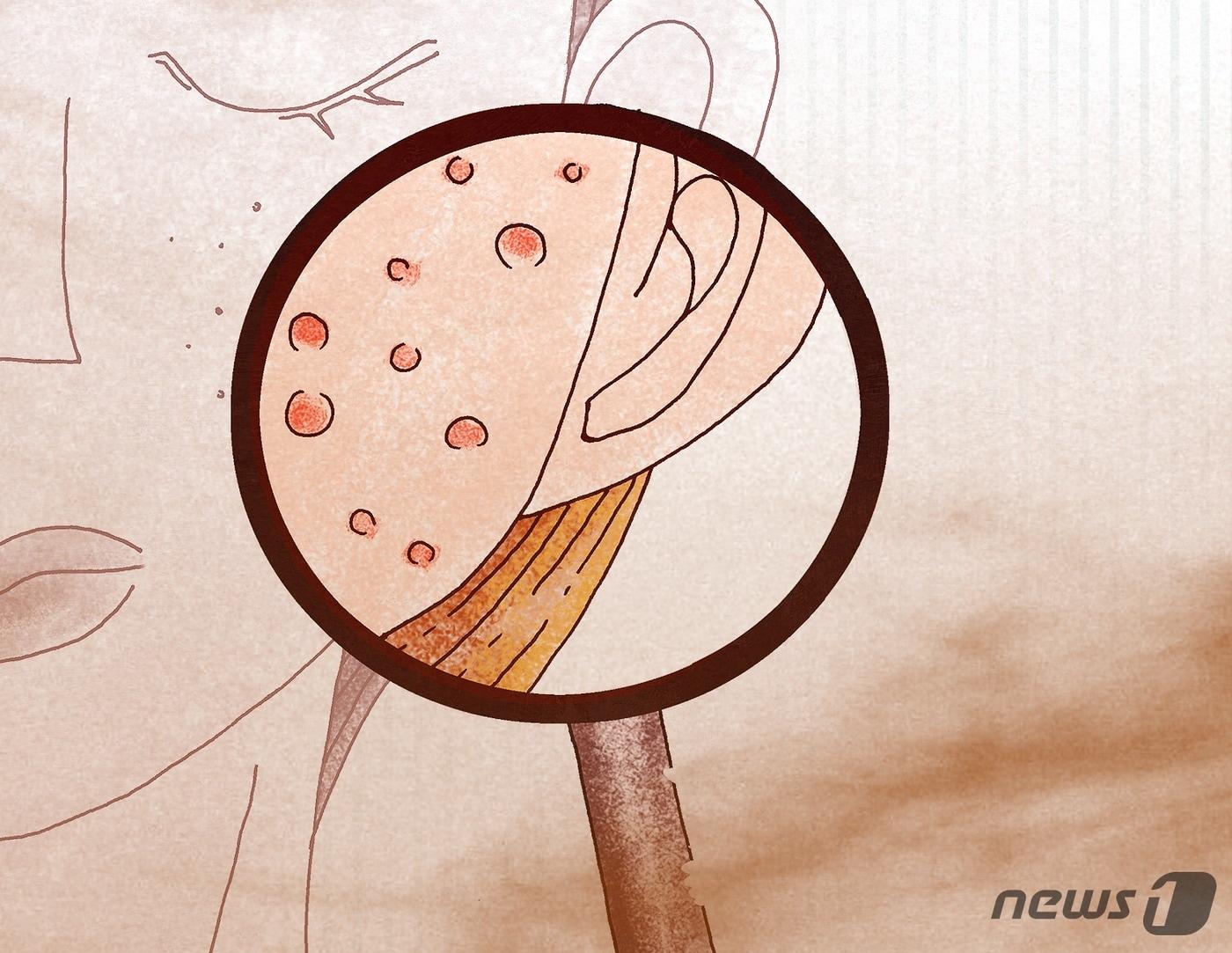 본문 이미지 - ⓒ News1 DB