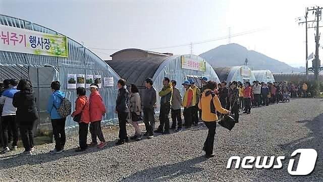 본문 이미지 - 나무나눠주기 행사에 참여한 시민들.(광양시 제공)/뉴스1 ⓒ News1 서순규 기자