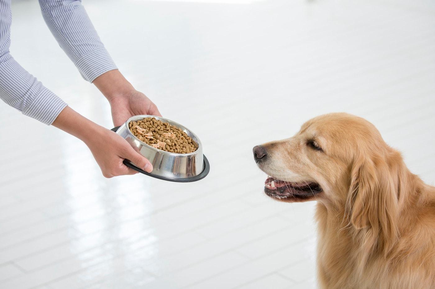 사진 이미지투데이. ⓒ News1