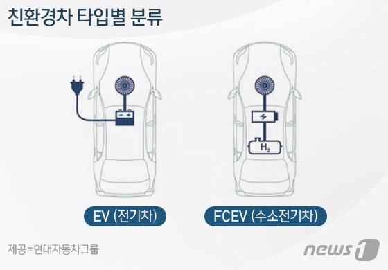 본문 이미지 - ⓒ News1 이은주 디자이너