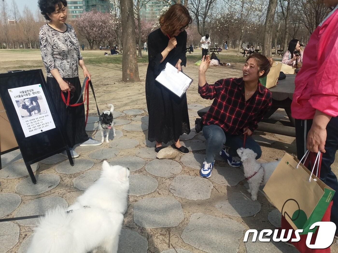 본문 이미지 - 민영뉴스통신 뉴스1과 서울숲컨서번시는 30일 '서울숲사용법: 펫티켓'을 개최했다. 반려동물행동전문가인 곽태희 도기브러리 훈련사가 강사로 참가해 올바른 반려견 산책법 등에 대해 소개했다. ⓒ News1 최서윤 기자