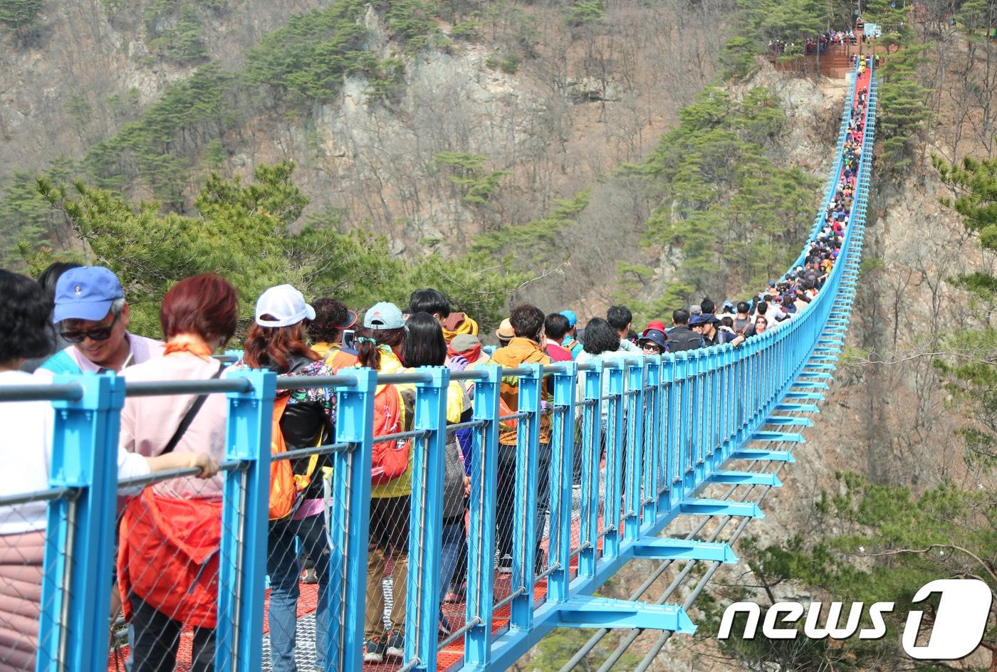 본문 이미지 - 원주 소금산 출렁다리. (뉴스1 DB)