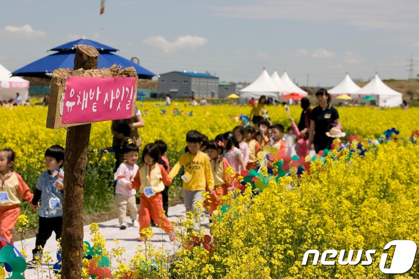 본문 이미지 - 전북 군산의 대표적인 농업축제인 꽁땅보리축제.ⓒ News1