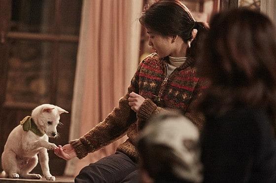 본문 이미지 - 영화 '리틀 포레스트' 스틸 이미지. ⓒ News1