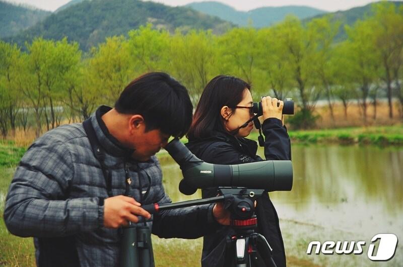 본문 이미지 - 창녕군 직원들이 올해 상반기 따오기 야생방사를 앞두고 지난 1월부터 매주 1회 이상 우포늪 일원에서 조류 모니터링을 하고 있다.(창녕군 제공)2018.4.10./뉴스1ⓒ News1