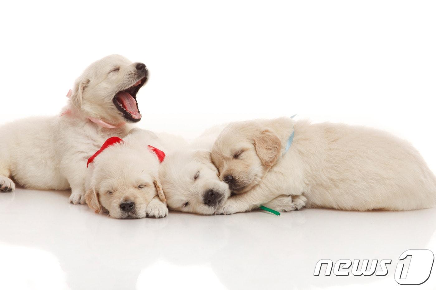 사진 이미지투데이. ⓒ News1