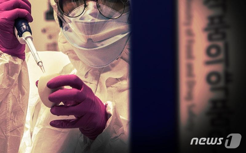 본문 이미지 - ⓒ News1 최진모 디자이너