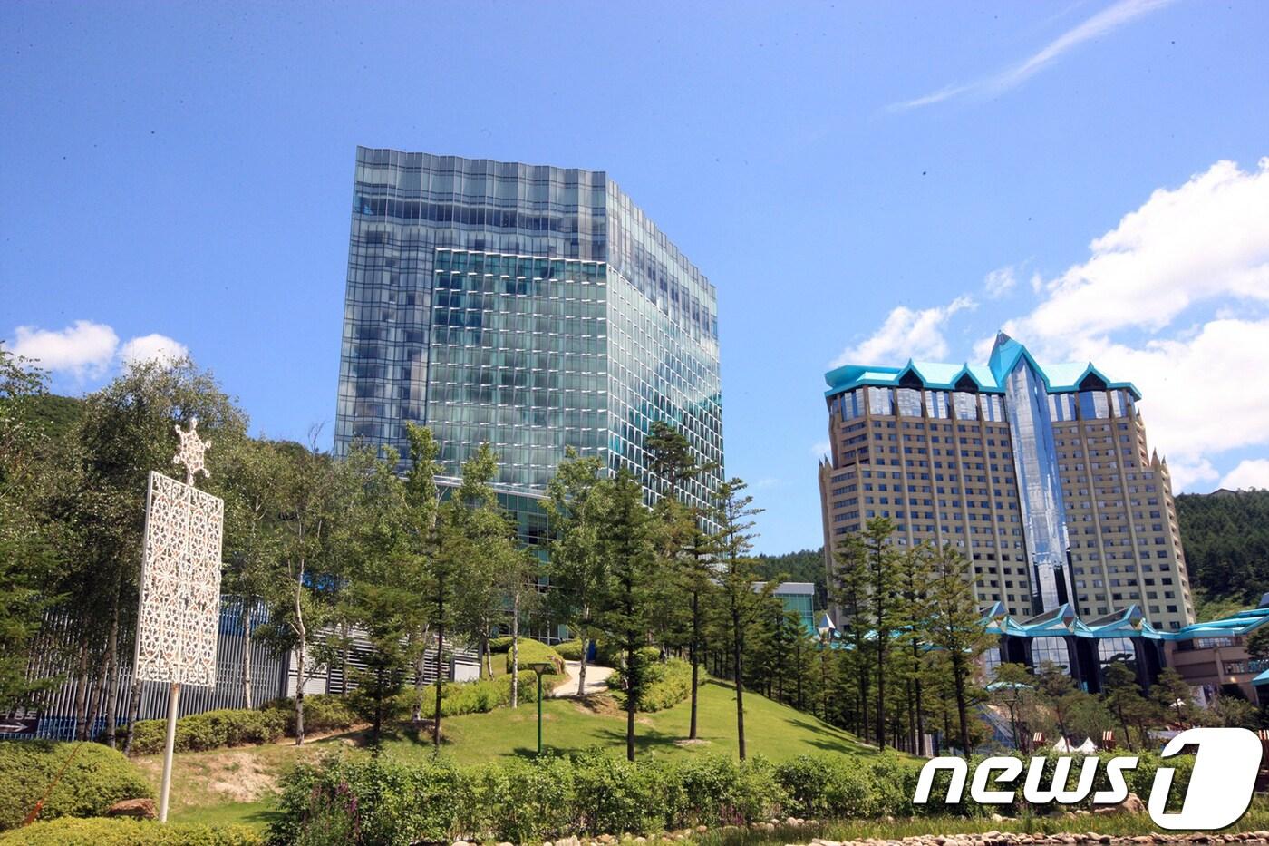 본문 이미지 - 강원랜드&컨벤션호텔봄 주경 ⓒ News1