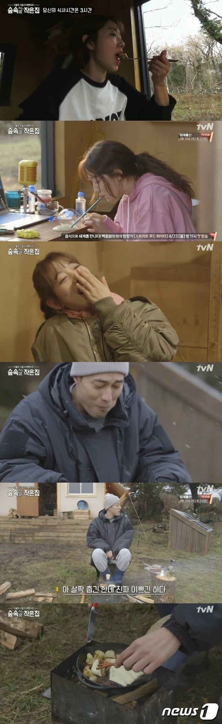 본문 이미지 - '숲속의 작은집' ⓒ News1