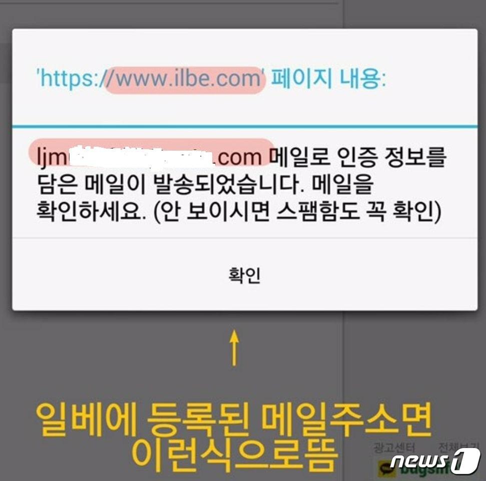 본문 이미지 - 일베에 가입했다는 이재명 후보의 이메일 계정(SNS캡처) ⓒ News1