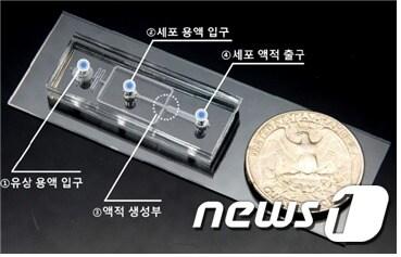 본문 이미지 - 3차원 종양 생산용 바이오칩(한국기계연구원 제공)ⓒ News1