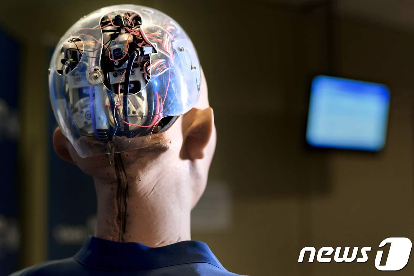 <자료사진> ⓒ AFP=뉴스1