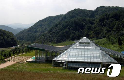 본문 이미지 - 양구생태식물원 온실 전경. (양구군 제공) 2018.4.29/뉴스1 ⓒ News1 