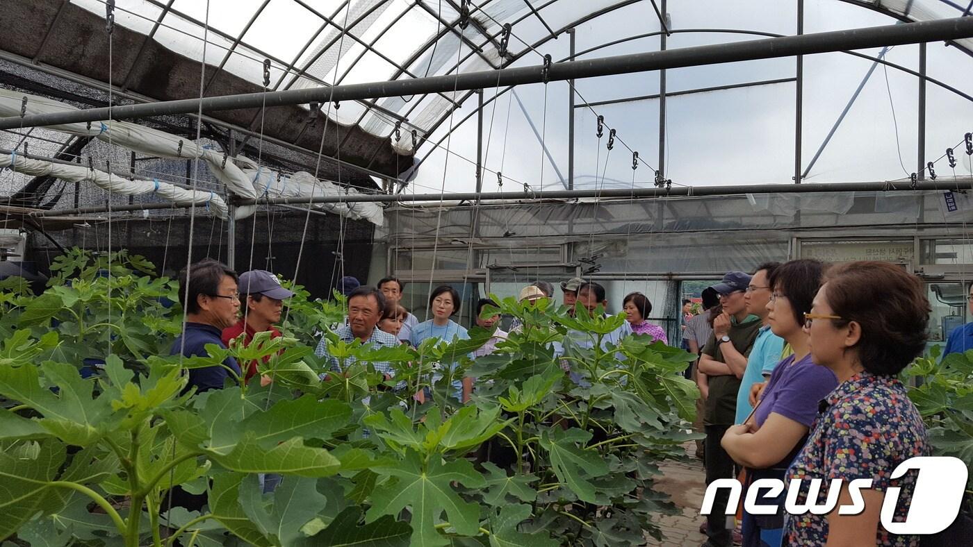 본문 이미지 - 파주시 귀농귀촌학교 현장교육 모습 /사진제공=파주시청 ⓒ News1