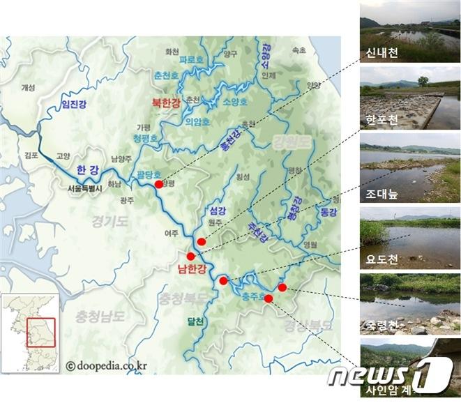 본문 이미지 - 절대혐기성 담수세균이 발견된 남한강 일대 지천.(국립낙동강생물자원관 제공) ⓒ News1