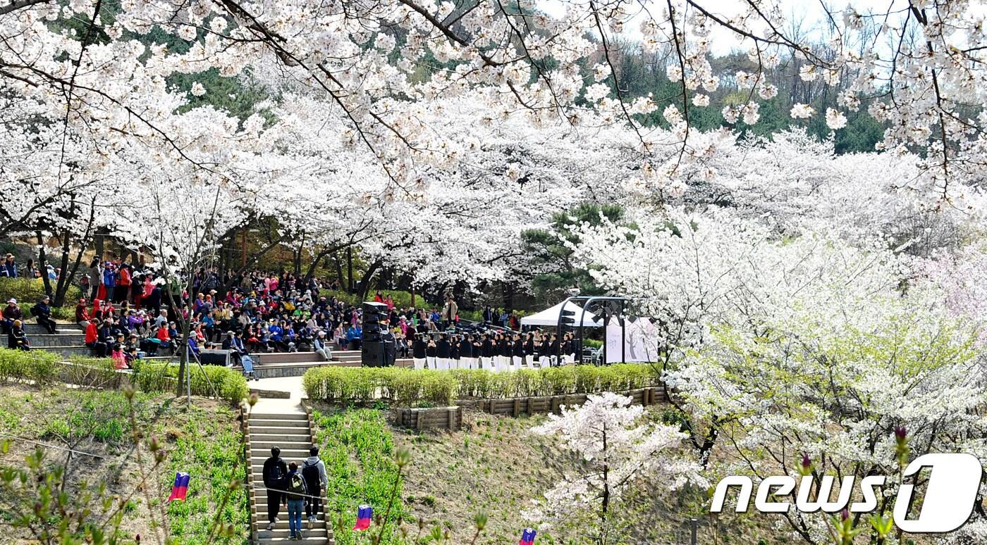 서대문구 안산 벚꽃 음악회(서대문구 제공)ⓒ News1