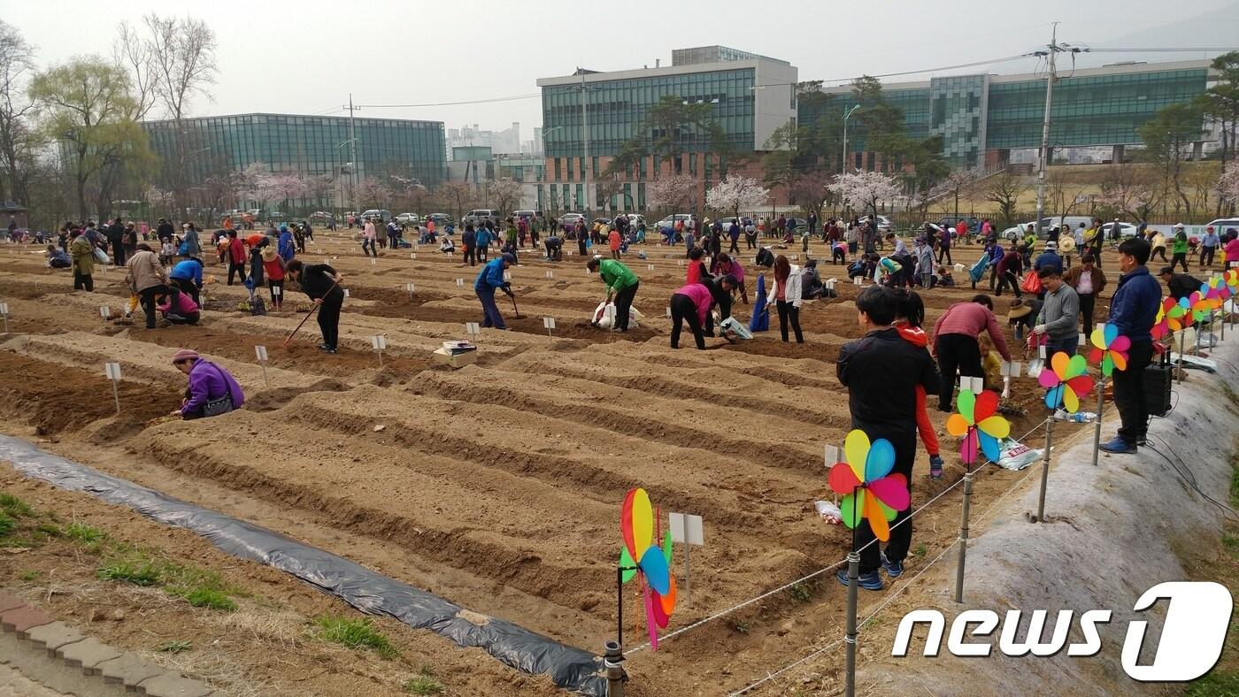도봉구 쌍문동 친환경 텃밭 개장(도봉구 제공)ⓒ News1