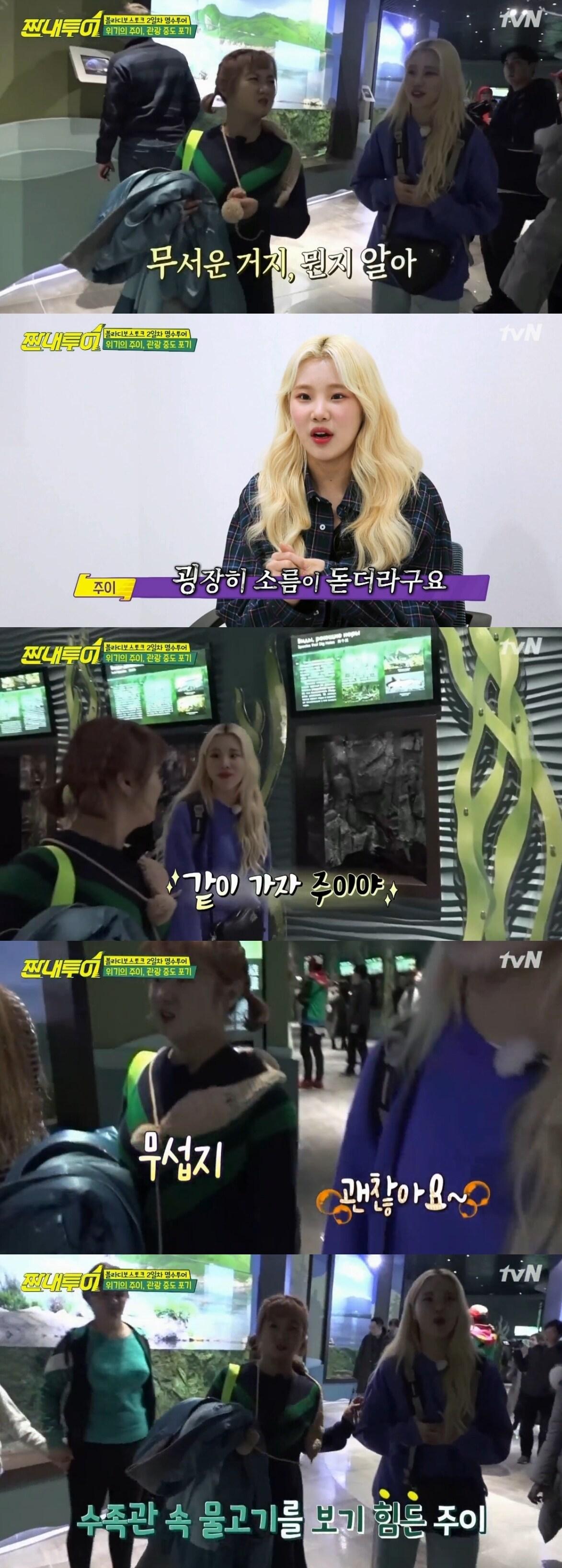 본문 이미지 - tvN '짠내투어' 캡처ⓒ News1