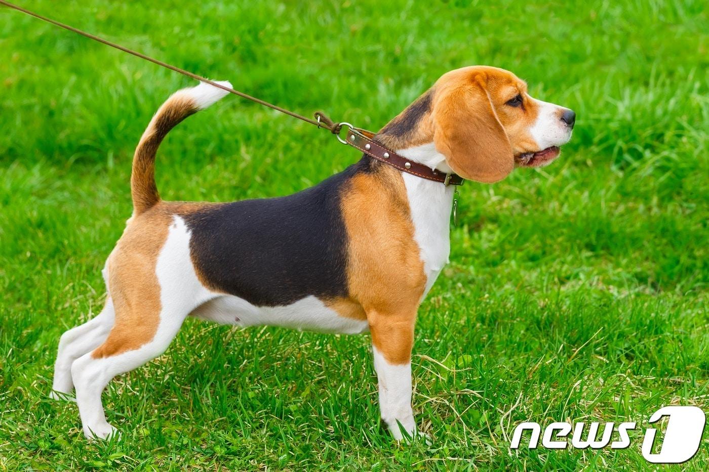 사진 이미지투데이 ⓒ News1