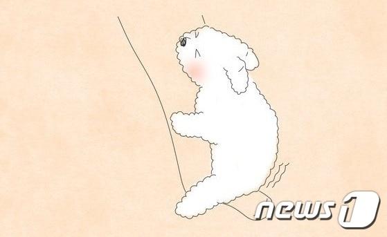 본문 이미지 - 마운팅하는 반려견 ⓒ News1 이은주 디자이너