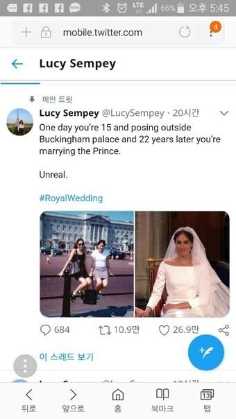 본문 이미지 - 루시 셈피 트위터 화면 캡처ⓒ News1