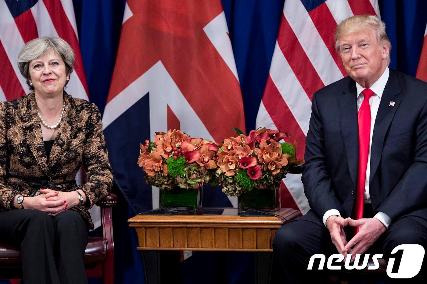 테리사 메이 영국 총리-도널드 트럼프 미국 대통령 <자료사진> ⓒ AFP=뉴스1