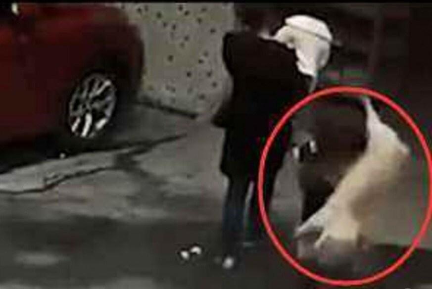 본문 이미지 - Thepaper.cn 갈무리