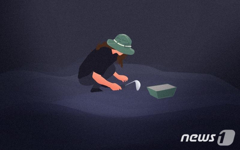 본문 이미지 - ⓒ News1 DB