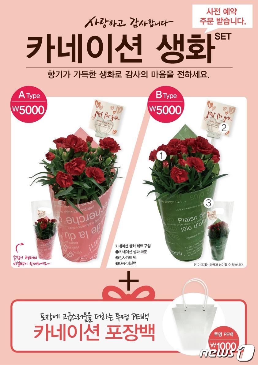 본문 이미지 - 다이소 카네이션 생화 제품 안내. ⓒ News1